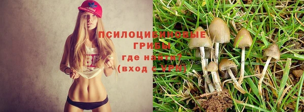 кокс Алексин