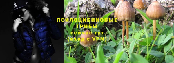 кокс Алексин