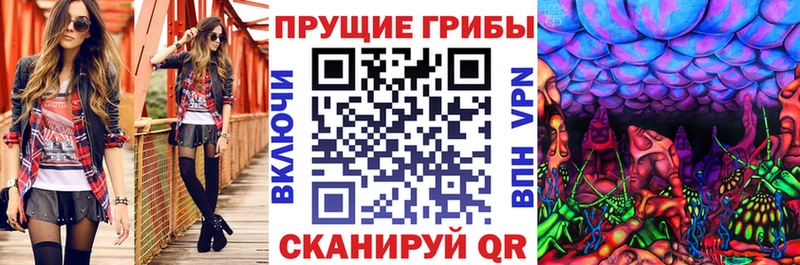 Галлюциногенные грибы Psilocybine cubensis  Чишмы 